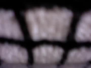Watch mav3633 performing live on BoomCams free cam network