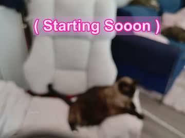 Watch ms_mochii performing live on BoomCams free cam network